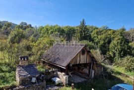 ISTRA, PAZIN - Kuća za adaptaciju na prostranom zemljištu, Pazin - Okolica, Haus