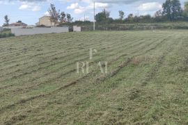 Orihi zemljište sa GRAĐEVINSKOM DOZVOLOM za villu sa bazenom !, Barban, Land