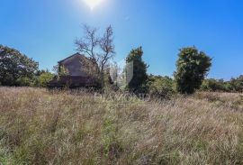 Žminj, okolica, kuća na prostranoj okućnici na osami, Žminj, Casa