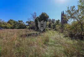 Žminj, okolica, kuća na prostranoj okućnici na osami, Žminj, Casa