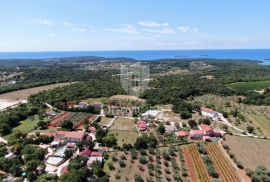 Rovinj, PRILIKA! Zemljište s pogledom na more, Rovinj, Terreno