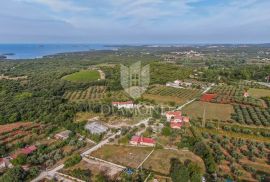 Rovinj, PRILIKA! Zemljište s pogledom na more, Rovinj, Terra