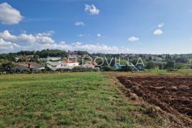 Istra, Vižinada prostrano građevinsko zemljište s otvorenim pogledom, Vižinada, Land