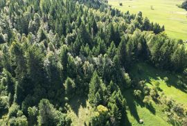 GORSKI KOTAR, SUNGER- stara kuća + 2 gospodarska objekta + okoliš 9000m2, Mrkopalj, Casa