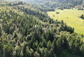 GORSKI KOTAR, SUNGER- stara kuća + 2 gospodarska objekta + okoliš 9000m2, Mrkopalj, Casa