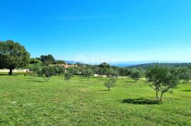 ISTRA, KRNICA - Jedinstveno imanje s panoramskim pogledima, Marčana, Дом