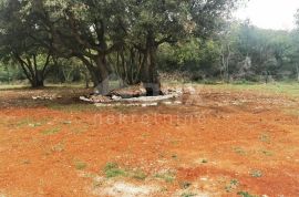 ISTRA, PULA - Posebna poljoprivredna parcela s pogledom!, Pula, Terreno