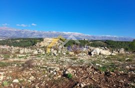 NOVIGRAD-GRAĐ. ZEMLJIŠTE s panoramskim pogledom- više načina investicije, Novigrad, Γη