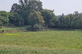 ISTRA, ŽMINJ - Kompleks zemljišta ukupne površine 15.136 m2, Žminj, Terreno