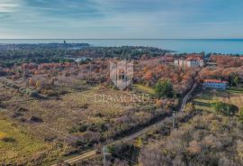 Umag, prostrano građevinsko zemljište 500m od mora, Umag, Terra