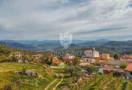 Vižinada, kuća sa 5 apartmana i otvorenim pogledom, Vižinada, Maison