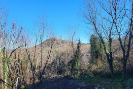 ISTRA, MOTOVUN - Kamena kuća s potencijalom, Motovun, Maison