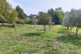 ISTRA, POREČ - Obiteljska kuća sa 2 stana i  velikom okućnicom, Poreč, House