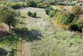 Marčana, okolica, građevinsko zemljište na miroj lokaciji, Marčana, Terreno