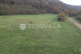 Istra, Kanfanar, uređeno poljoprivredno zemljište 13.270 m2, Kanfanar, Terrain