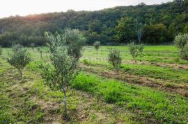 ISTRA, LABIN, RABAC - Prostrano poljoprivredno zemljište 13 688m2 u blizini mora, Labin, Zemljište