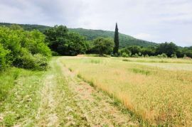 ISTRA, LABIN, RABAC - Prostrano poljoprivredno zemljište 13 688m2 u blizini mora, Labin, Zemljište