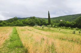 ISTRA, LABIN, RABAC - Prostrano poljoprivredno zemljište 13 688m2 u blizini mora, Labin, Zemljište