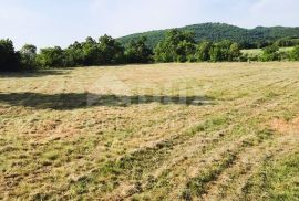 ISTRA, LABIN, RABAC - Prostrano poljoprivredno zemljište na zanimljivoj lokaciji, Labin, Zemljište