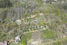 Istra, Motovun, građevinsko zemljište s pogledom na povijesne gradove, Oprtalj, Land