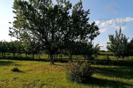 Voćnjak - Erdut, Erdut, Land