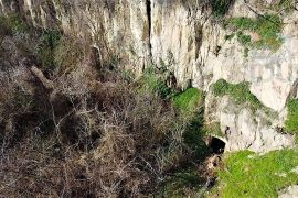 Zemljište za vikendice - Zmajevac, Kneževi Vinogradi, Land