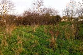 Građevinsko zemljište - Tiborjanci, Belišće, Land