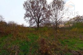 Građevinsko zemljište - Tiborjanci, Belišće, Land