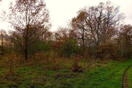 Građevinsko zemljište - Tiborjanci, Belišće, Land