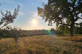 ISTRA, OPRTALJ - Kamena kuća na predivnom imanju, Oprtalj, Terrain