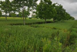 Poljoprivredno zemljište -Tenja, Osijek, Land