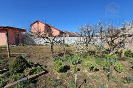 Velika obiteljska kuća s uređenom okućnicom - Donji grad (Osijek), Osijek, Haus