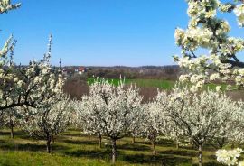 Poljoprivredno zemljište - Podgorje Bračevačko, Drenje, Land