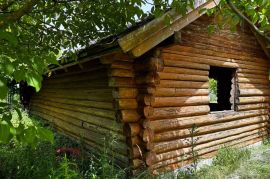 Nasad oraha s brvnarom - Ivanovac, Antunovac, Land