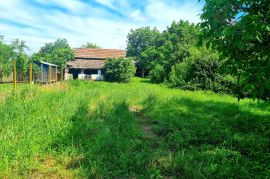 Manja kuća s velikom okućnicom  - Palača, Šodolovci, Haus