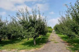 Zemljište - Industrijska zona Osijek, Osijek, Land