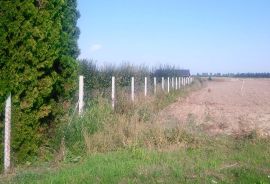 Zemljište - Industrijska zona Osijek, Osijek, Land