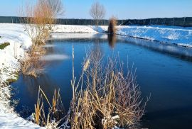 Ribnjak i poljoprivredno zemljište - Darda, Darda, Land