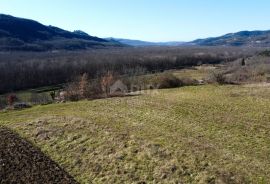 ISTRA, MOTOVUN - Građevinsko zemljište 1970 m2 sa pogledom na Motovun, na osami, Motovun, Land