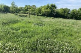 ISTRA, BARBAN - Građevinsko zemljište s ruševinama na mirnoj lokaciji!, Barban, Земля