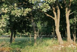 ISTRA, MEDULIN - Građevinsko zemljište na atraktivnoj lokaciji, Medulin, Terrain