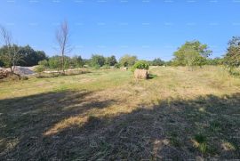 Građevinsko zemljište Prodaja građevinskog zemljišta, Žminj, Žminj, Terrain