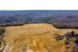 Rakalj - zemljište za izgradnju 50 vila, 45 000 m2, Pula, Zemljište