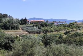 Istra, Buzet - građevinsko zemljište s pogledom na prirodu, Buzet, Tierra