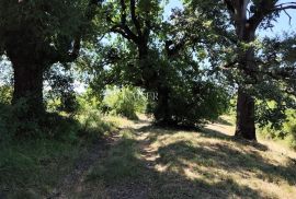 Istra, Buzet - građevinsko zemljište s pogledom na prirodu, Buzet, Tierra