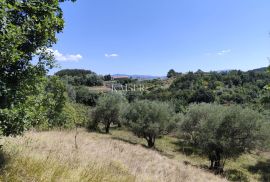 Istra, Buzet - građevinsko zemljište s pogledom na prirodu, Buzet, Zemljište