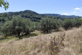 Istra, Buzet - građevinsko zemljište s pogledom na prirodu, Buzet, Tierra