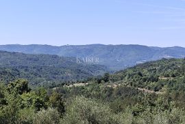 Istra, Buzet - starina s građevinskim zemljištem, Buzet, House