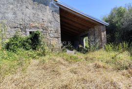 Istra, Buzet - starina s građevinskim zemljištem, Buzet, House