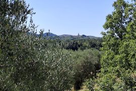 Istra, Buzet - starina s građevinskim zemljištem, Buzet, Дом